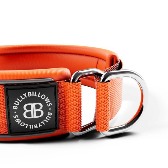 NWT Bully Billows 4cm Slip on Collar | Foam Padded - Orange XSmall OBO $35 - Picture 6 of 10